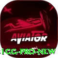 81gg Pro New